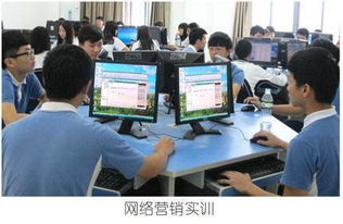 电子商务专业学生找工作